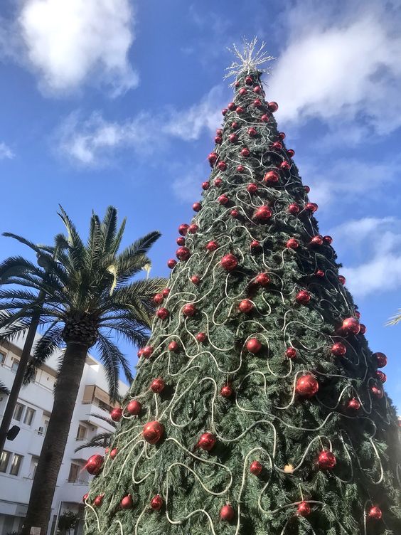 christmas in ibiza