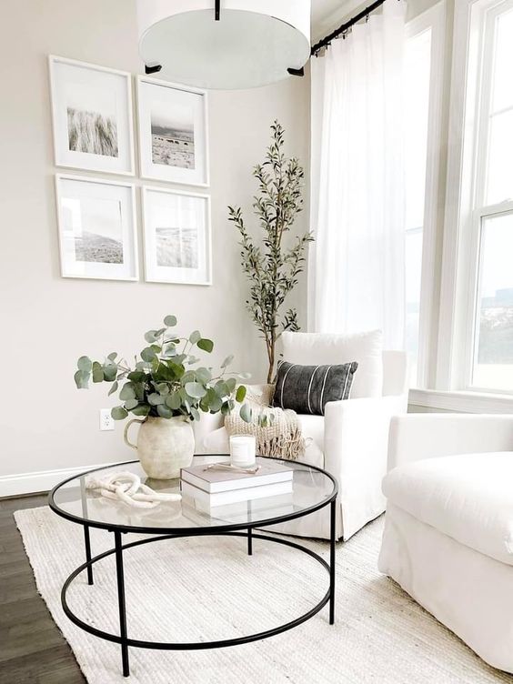 PLANT IN A HOME FH
